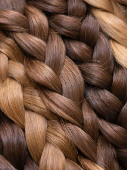 Braided Hair Pattern With Various Shades of Brown