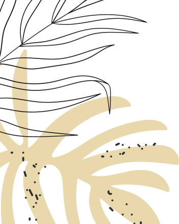 Tropical leaf illustration